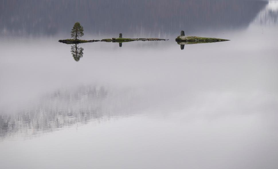 Free Image of Misty Landscape With Three Planes 