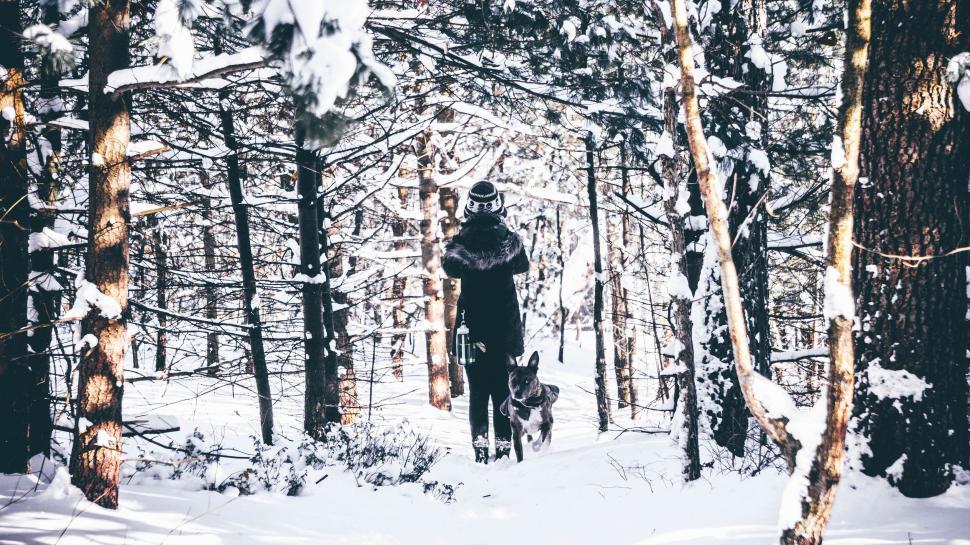 Free Image of Man Walking Dog Through Snow Covered Forest 