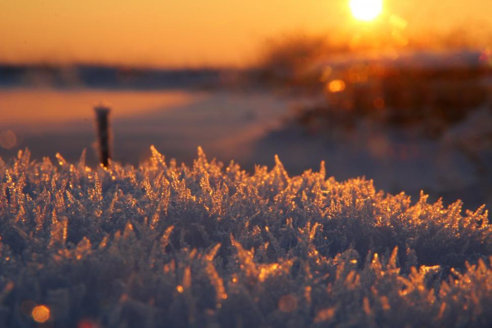 Free Image of The Sun Sets Over a Snowy Field 