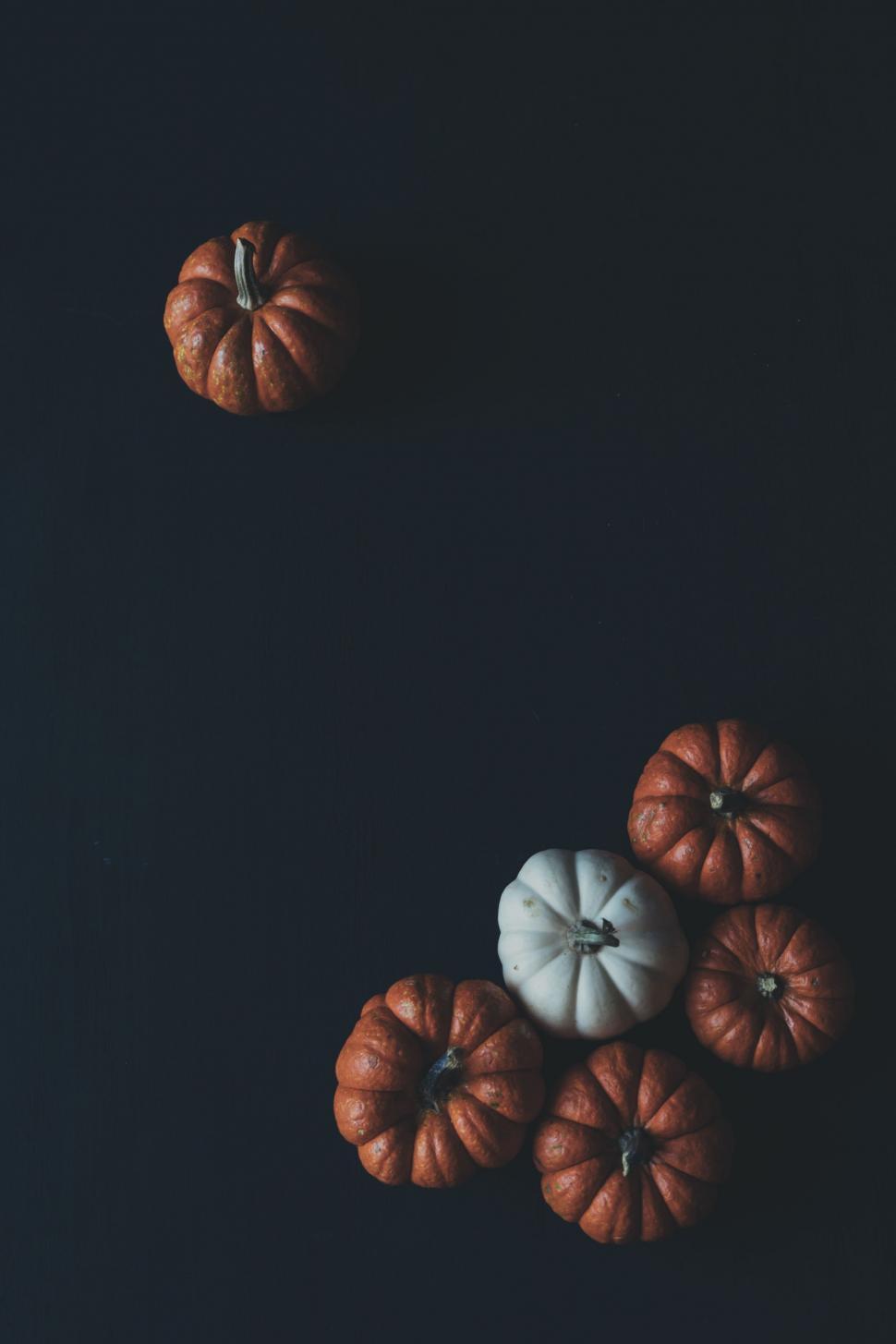 Free Image of Group of Pumpkins on Table 