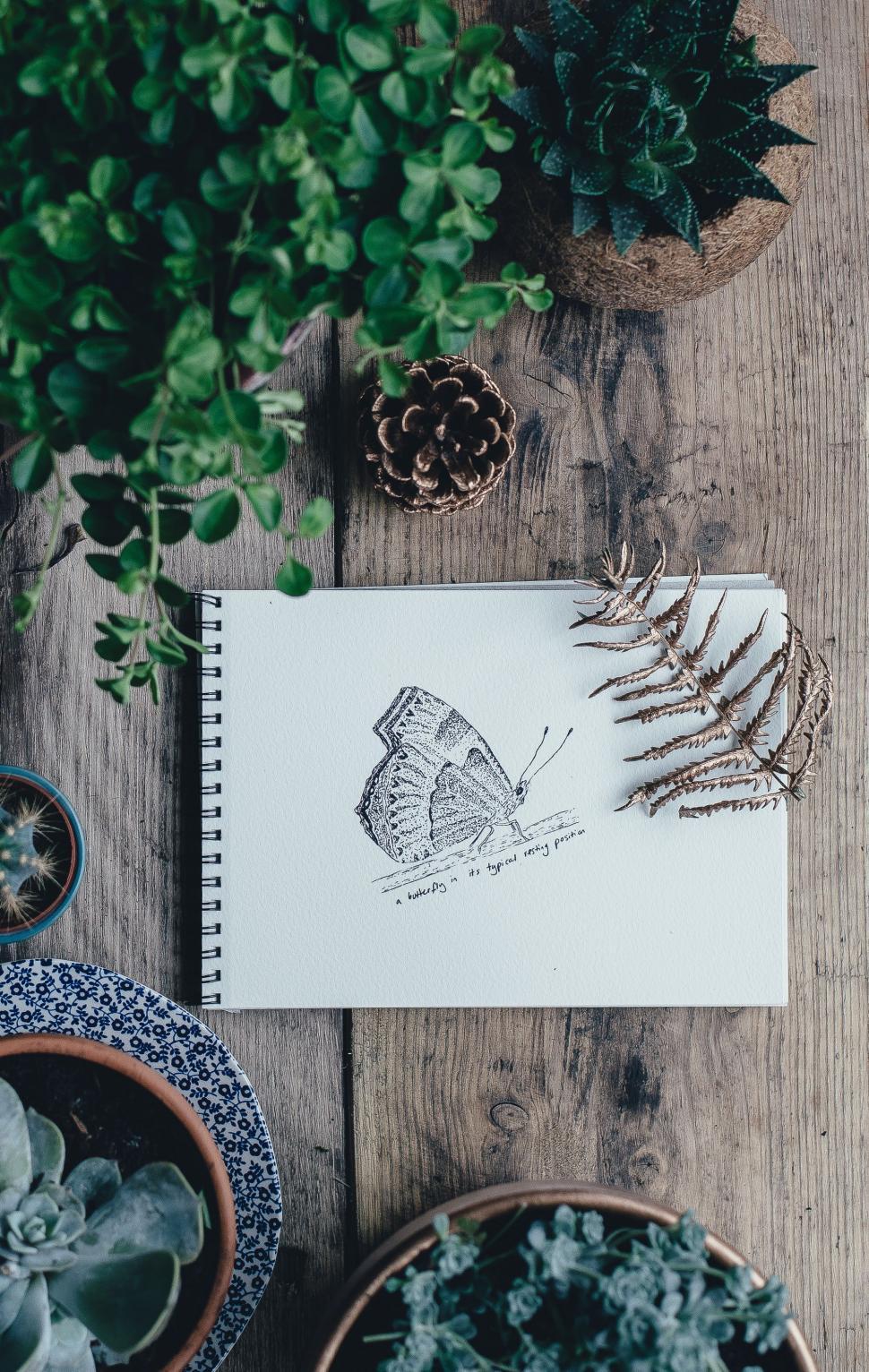 Free Image of Notebook With Butterfly Drawing 