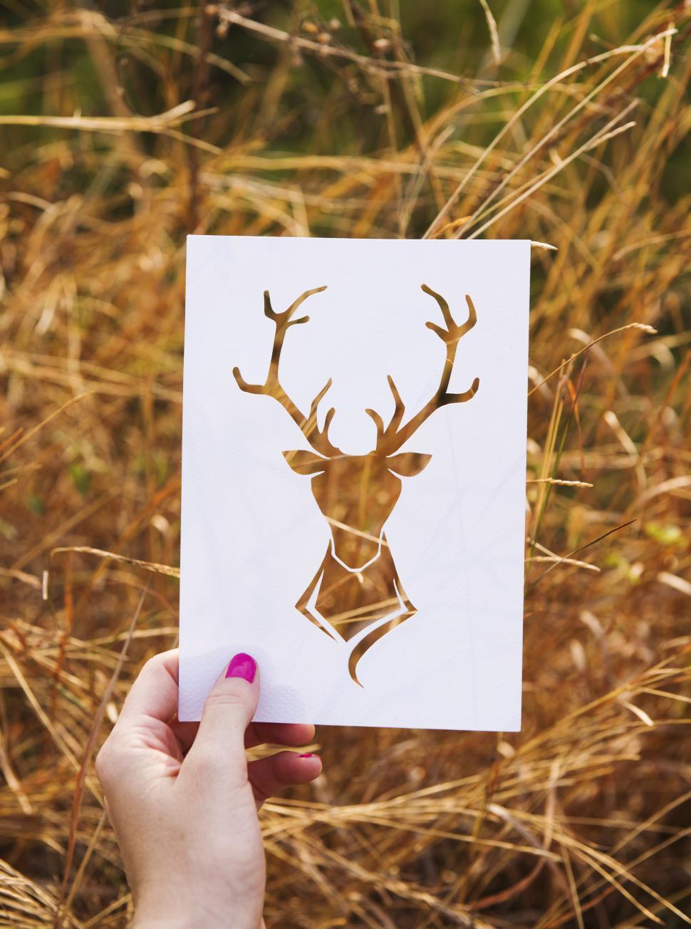 Free Image of Hand Holding up a Deer Picture 