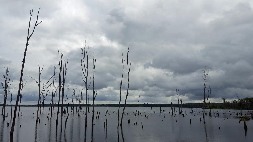 Free Image of Manasquan Reservoir 