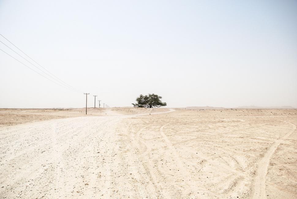 Free Image of Dirt Road Cutting Through Desert Landscape 