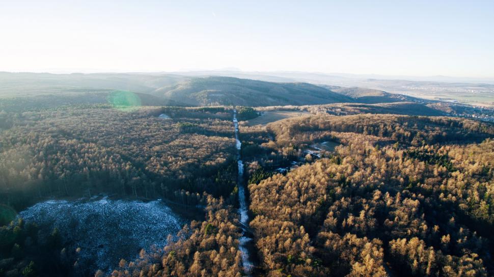 Free Image of Aerial View of Forest With River 