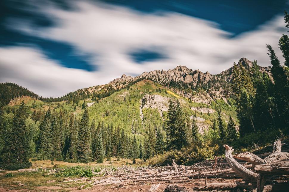 Free Image of Mountain Range With Trees and Fallen Log 