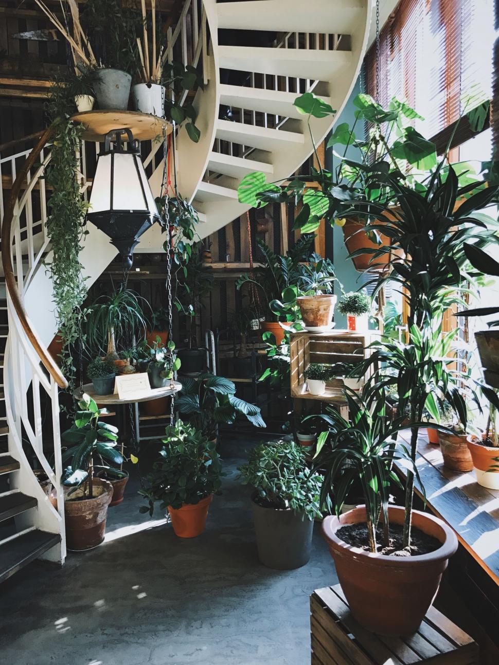 Free Image of Spiral Staircase in Building With Potted Plants 
