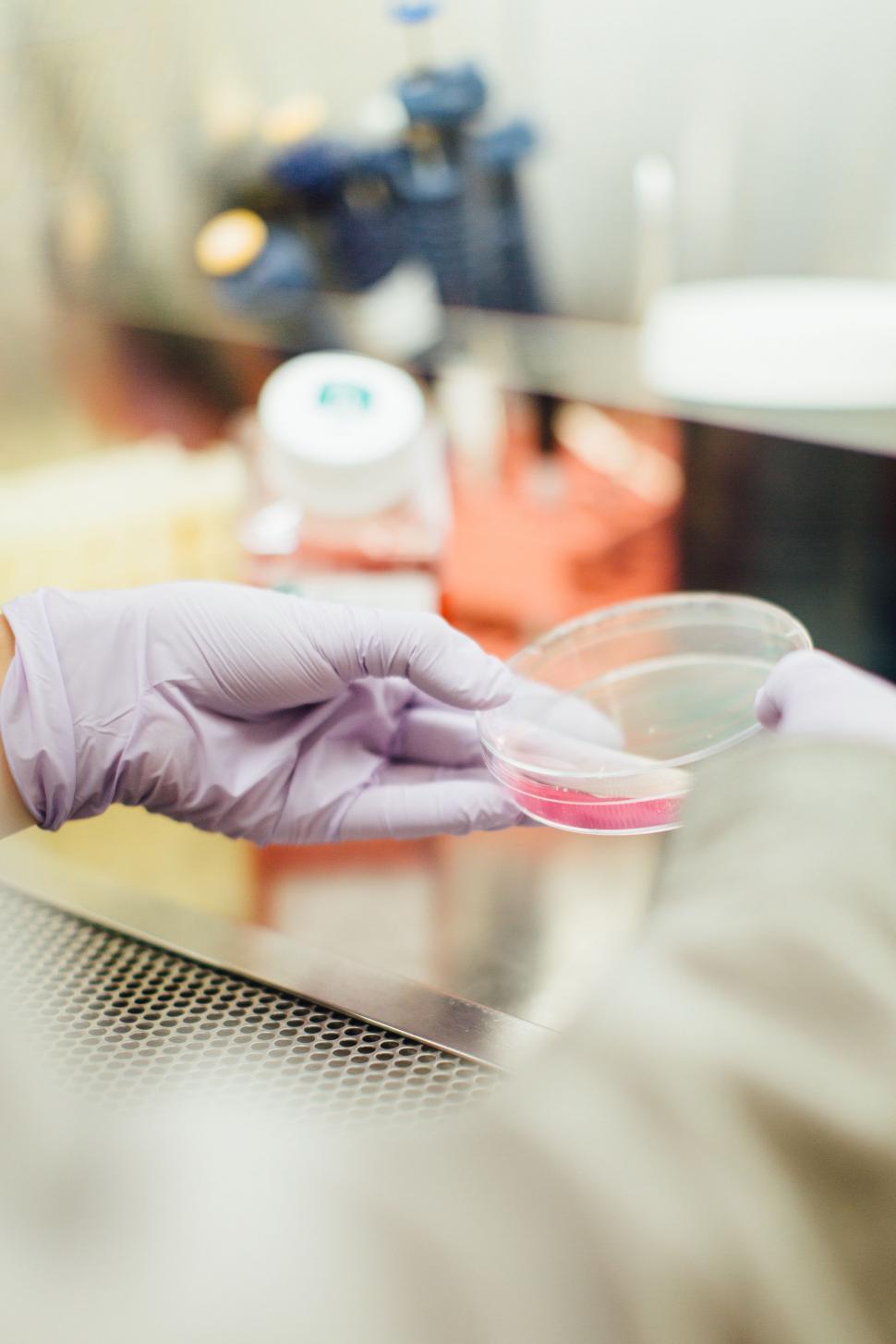 Free Image of Scientist in Lab Coat and Purple Gloves 
