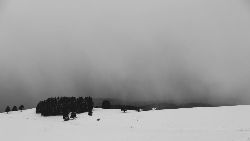 Free Image of Snow Covered Hill in Black and White 