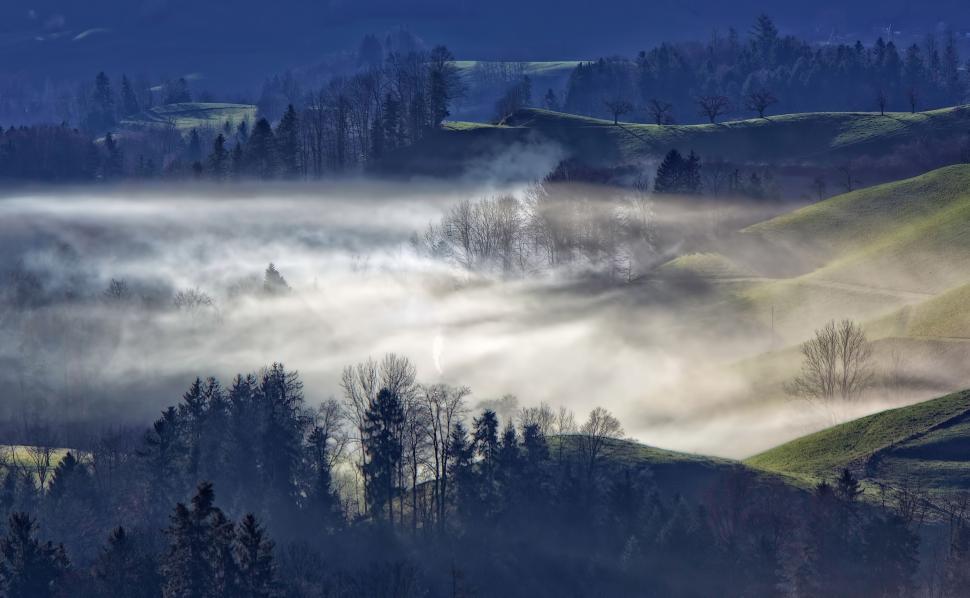 Free Image of Foggy Mountain Landscape With Trees 