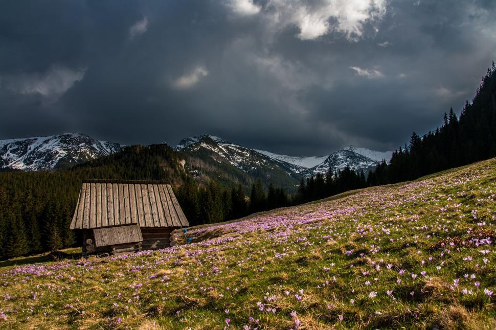 Free Image of Small Cabin on Grassy Hill Under Cloudy Sky 