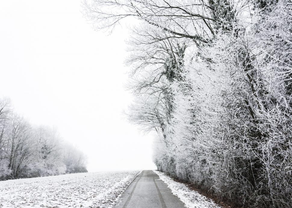 Free Image of Snowy Road in Black and White 