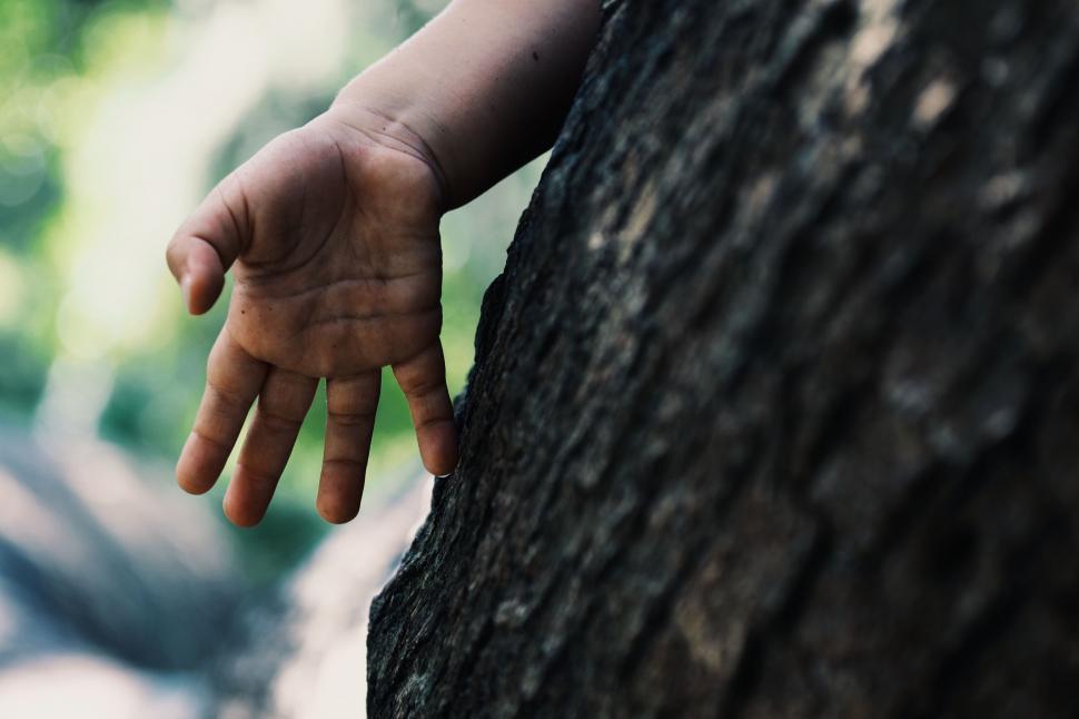 Free Image of Hand Touching Tree Trunk in Forest 