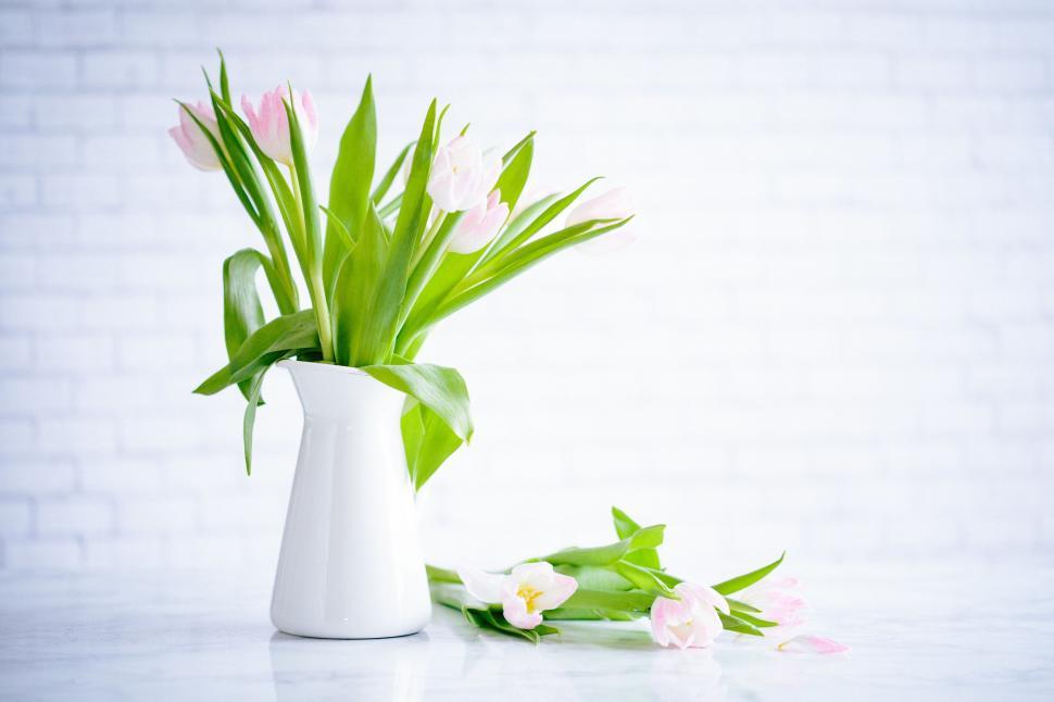 Free Image of White Vase Filled With Flowers on Table 