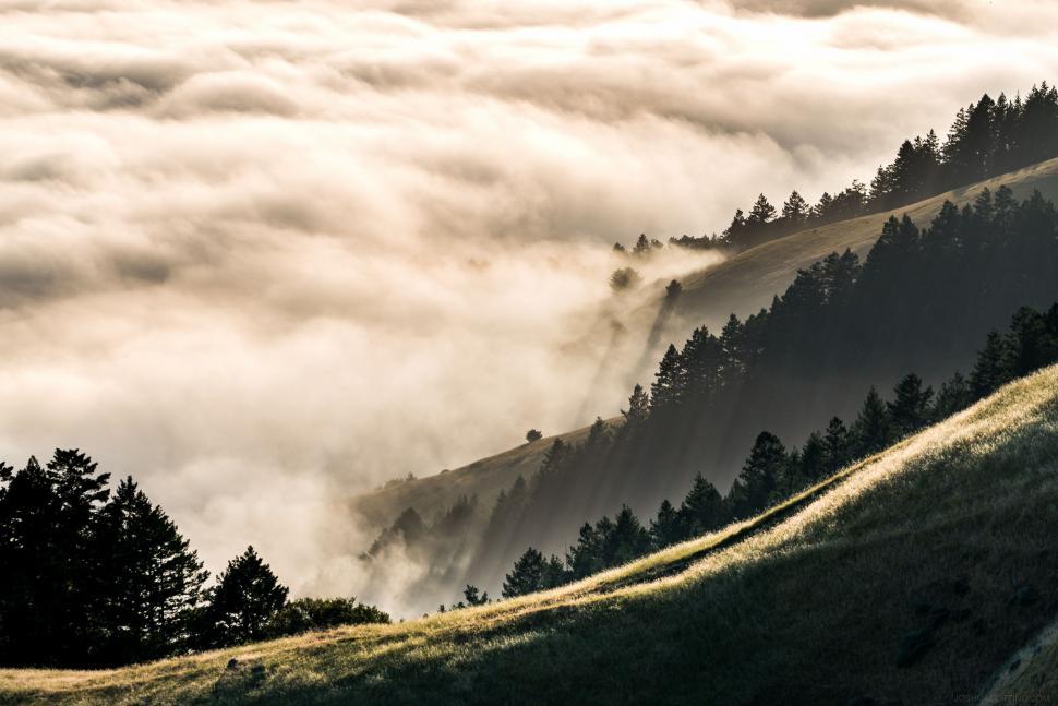 Free Image of Foggy Hill With Trees 