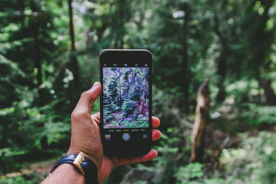 Free Image of Person Taking Picture of Forest With Cell Phone 