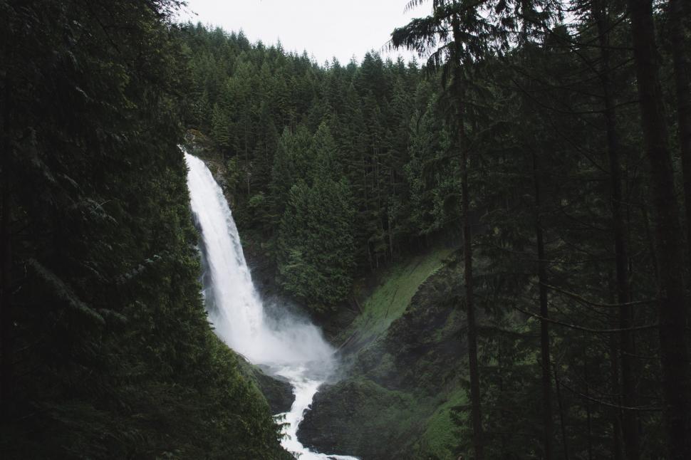 Free Image of Waterfall Surrounded by Forest 