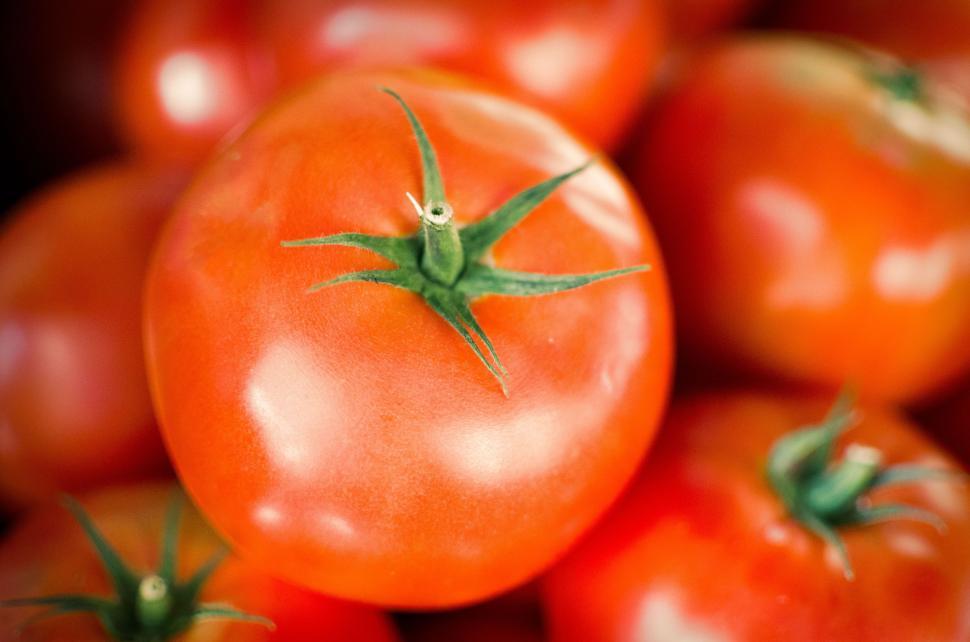 Free Image of Close Up of Ripe Red Tomatoes 