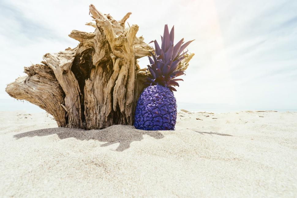 Free Image of Pineapple and Blue Pineapple on Beach 