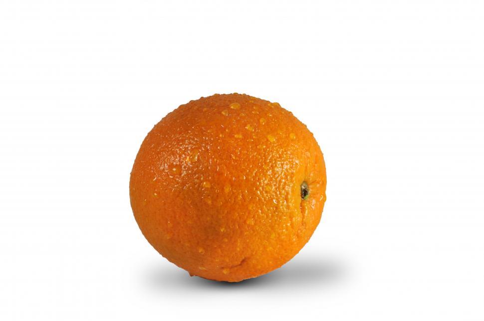 Free Image of Orange on White Background 