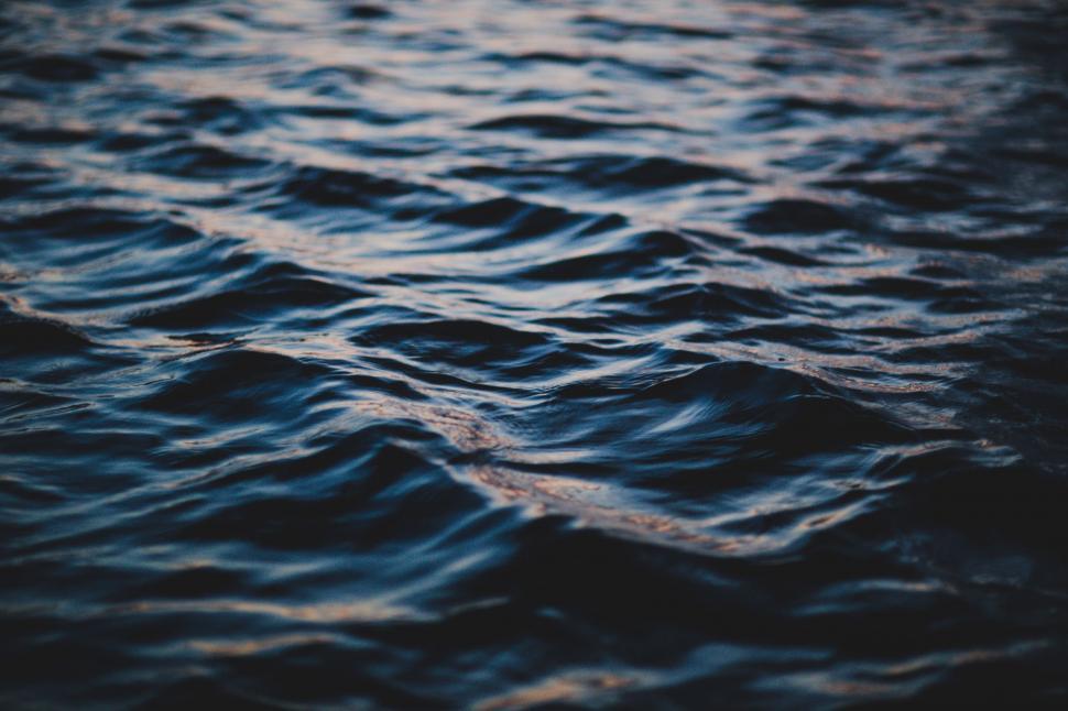 Free Image of Rippling Body of Water Close Up 