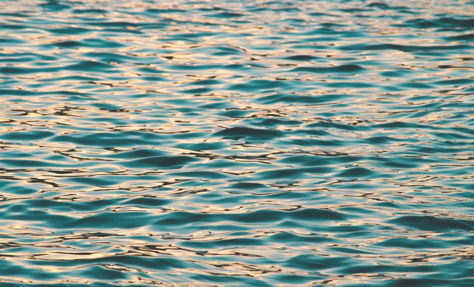 Free Image of Rippling Waves on a Body of Water 