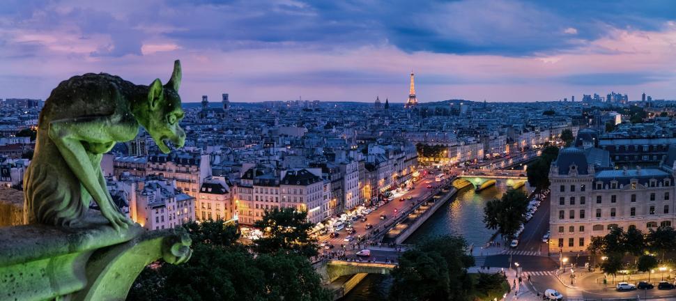 Free Image of City of Paris Viewed From Top of Eiffel Tower 