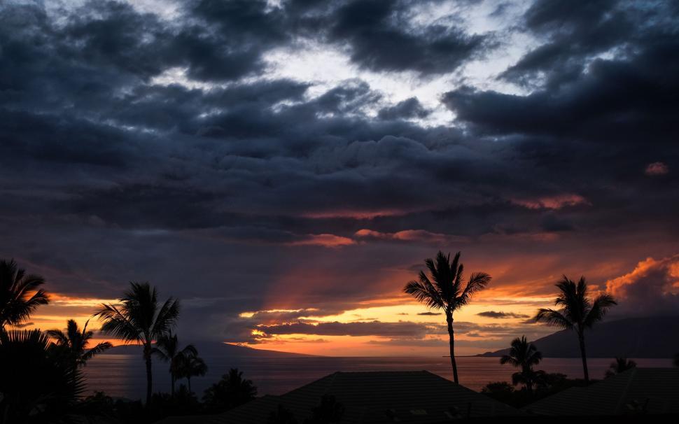 Free Image of Evening Sunset With Clouds and Palm Trees 