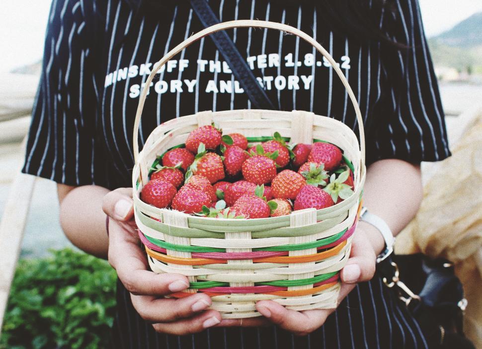 Free Image of Person Holding Basket Full of Strawberries 