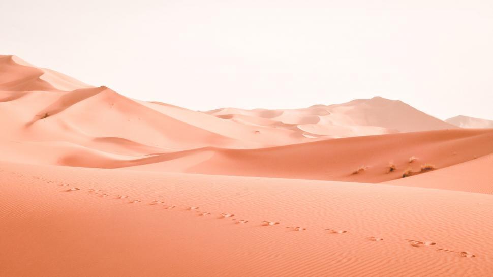 Free Image of Person Walking Across Desert With Sky Background 