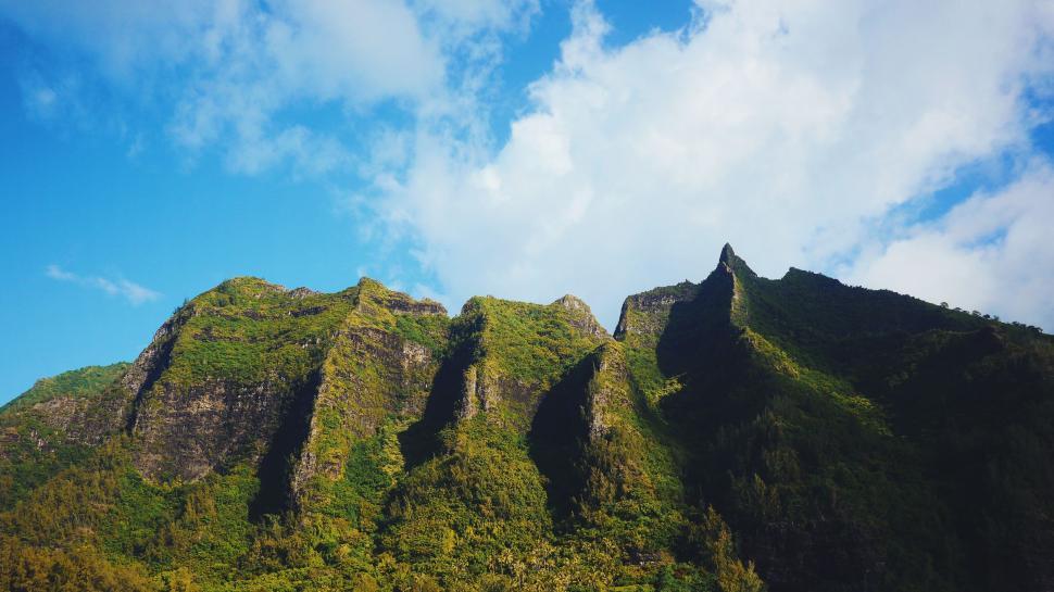 Free Image of Towering Mountain Covered in Lush Green Vegetation 
