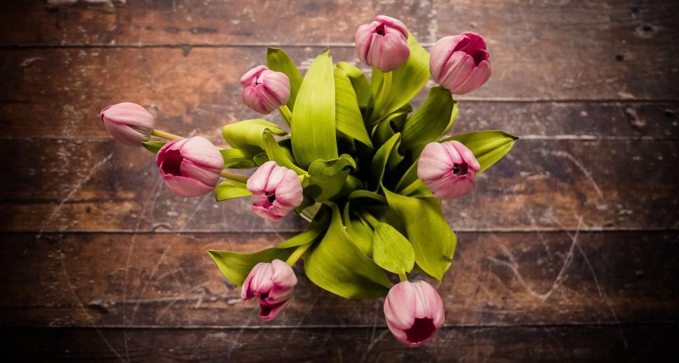 Free Image of A Bouquet of Pink Tulips on a Wooden Table 