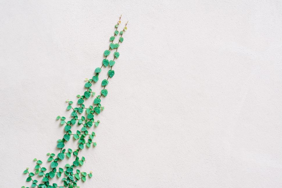 Free Image of Long Necklace With Green Beads on White Background 