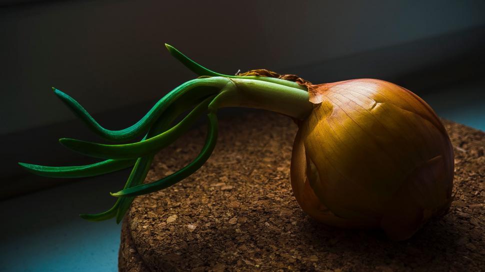 Free Image of Close Up of an Onion on a Table 