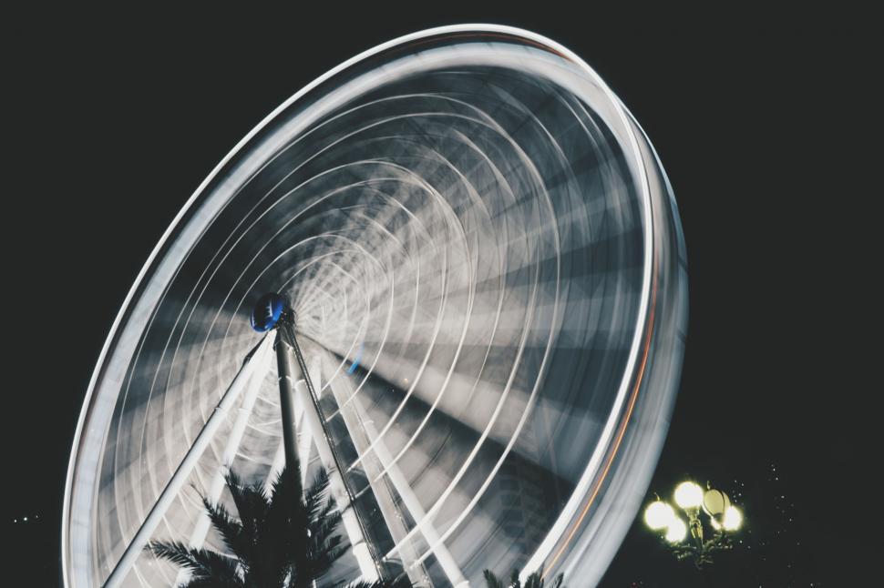 Free Image of Ferris Wheel and Palm Trees at Night 