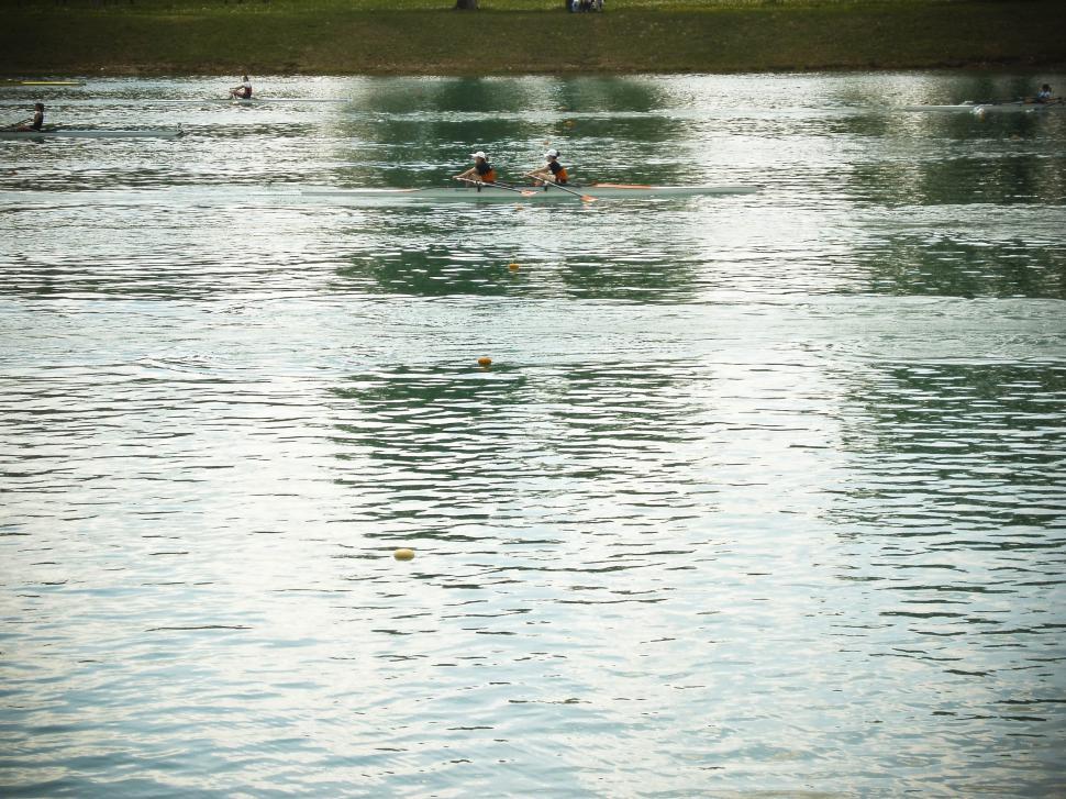 Free Image of rowing race 