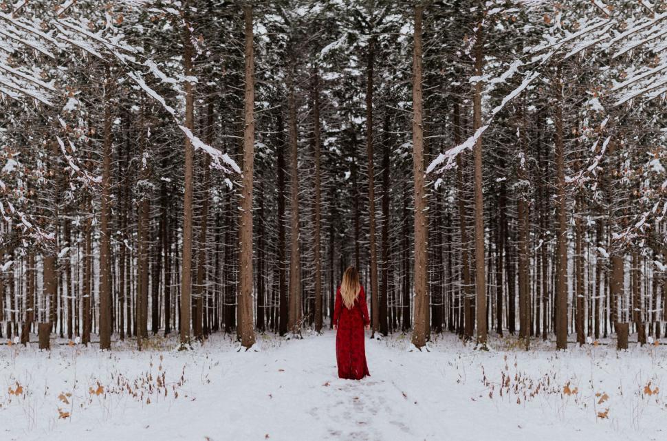 Free Image of Woman in Red Dress Standing in Snowy Forest 