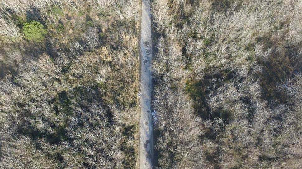 Free Image of Aerial View of Road Surrounded by Trees 