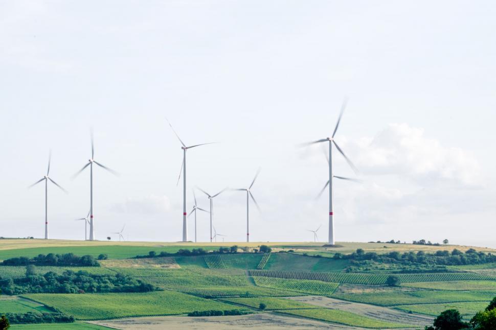 Free Image of Group of Windmills in Green Field 