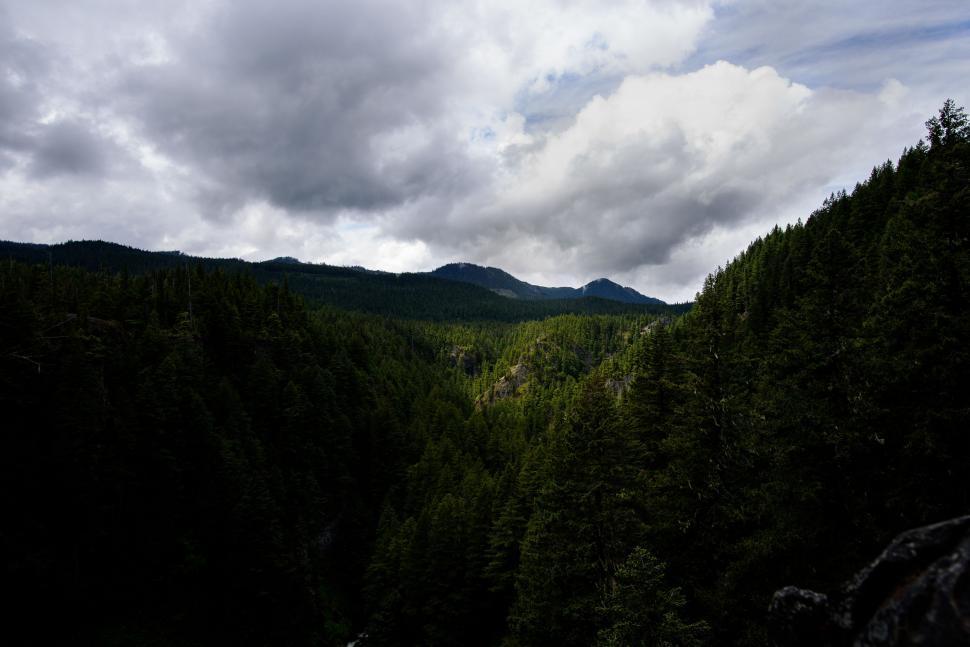 Free Image of A Panoramic View of a Forest Canopy From a High Vantage Point 
