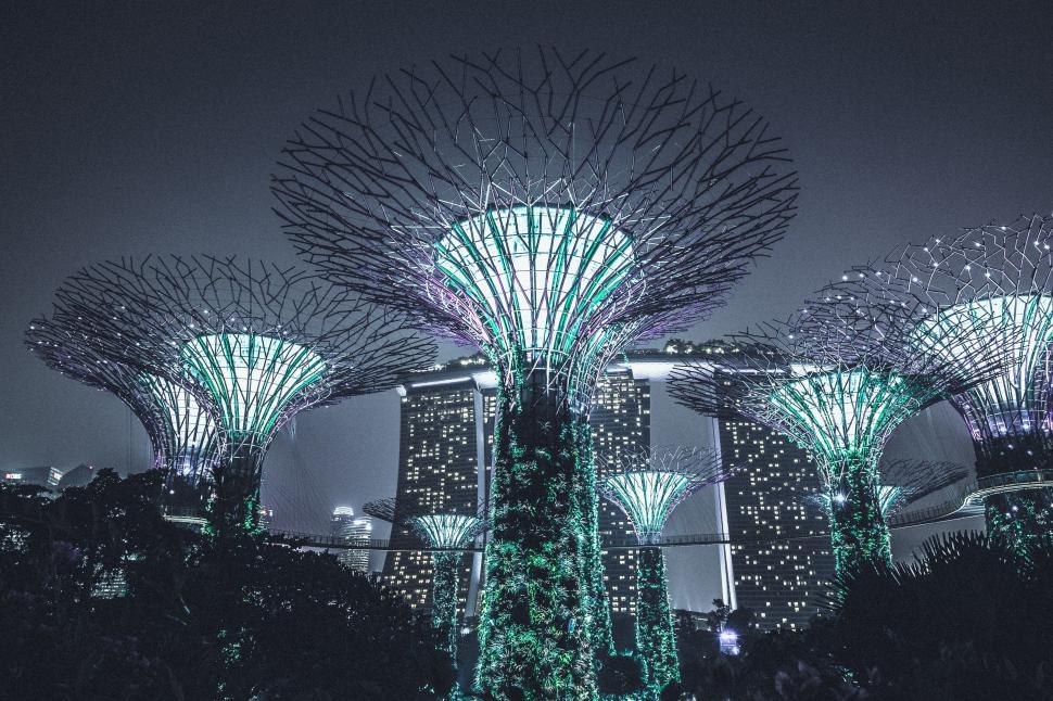 Free Image of Night View of Gardens by the Bay in Singapore 