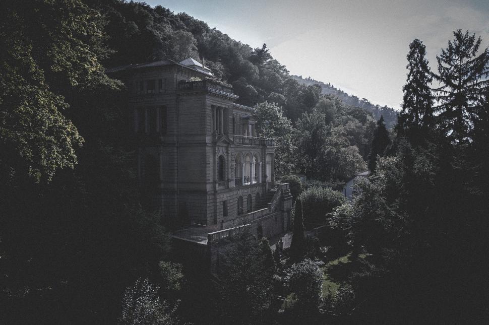 Free Image of Building in the Woods 