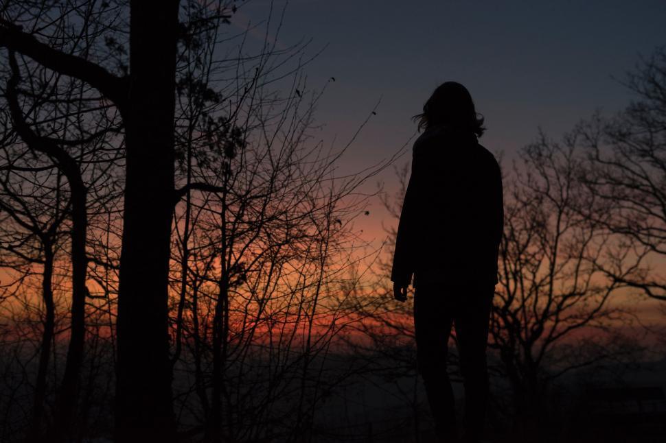 Free Image of Person Standing in Woods at Sunset 