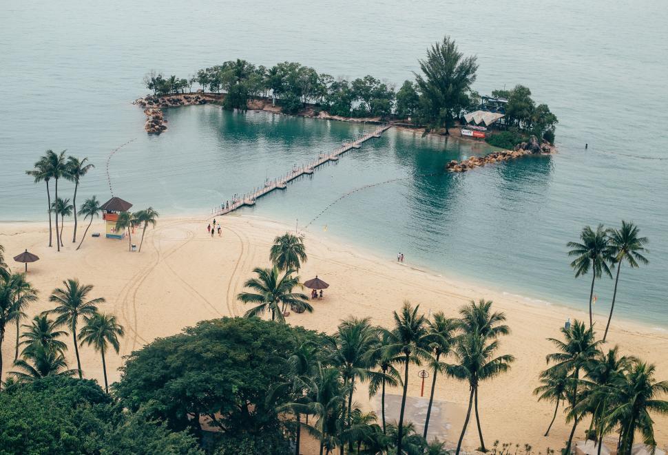 Free Image of Aerial View of Beach With Palm Trees 