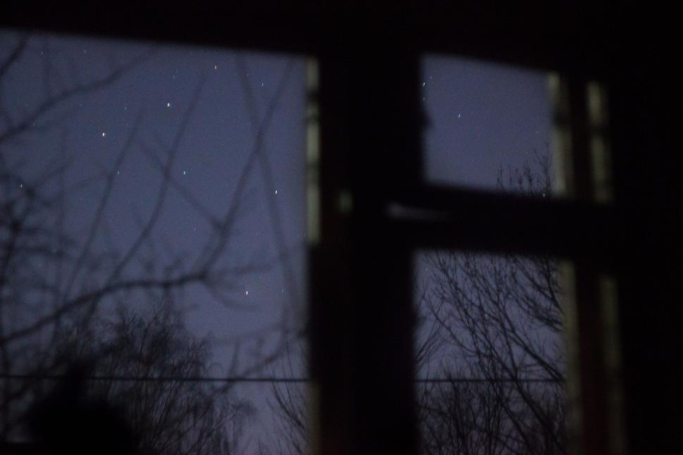 Free Image of Night View of Trees Through Window 
