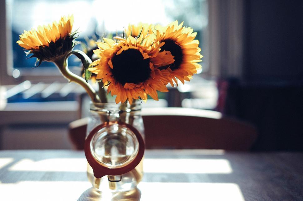 Free Image of Vase With Two Sunflowers on Table 