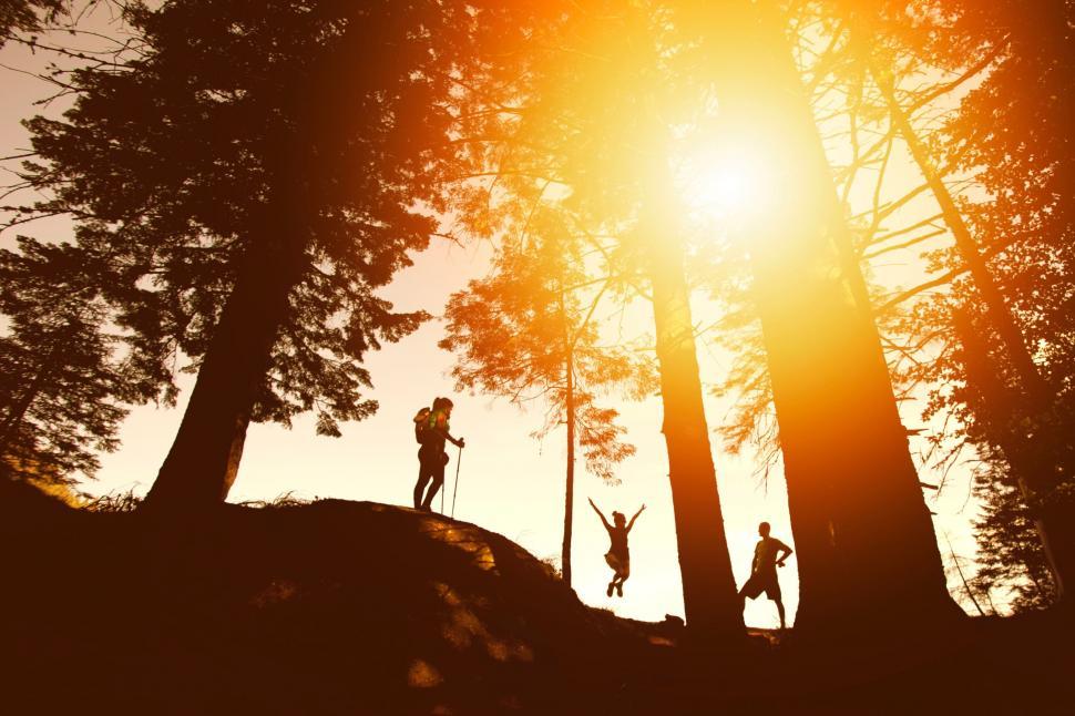 Free Image of Group Climbing Hill in Woods 