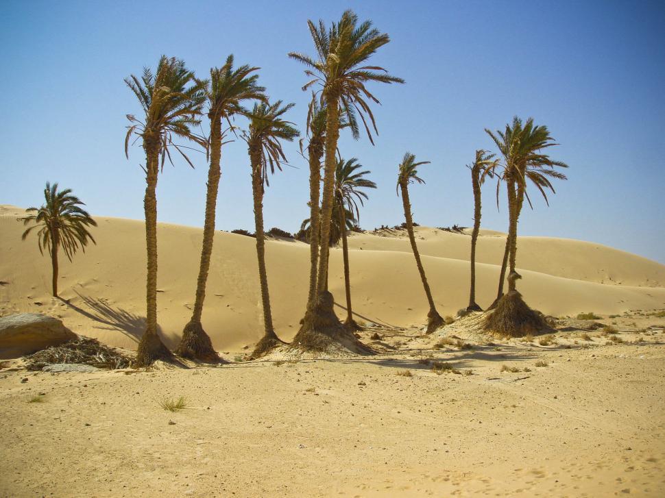 Free Image of Daylight view of desert in Tunisia 