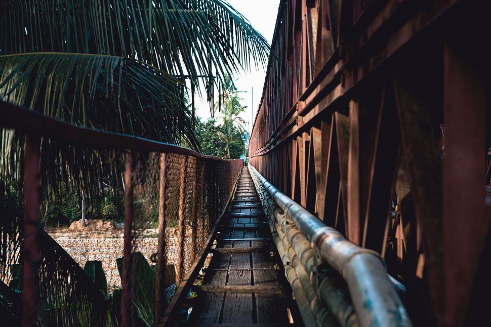 Free Image of Narrow Walkway Between Two Buildings With Palm Trees 