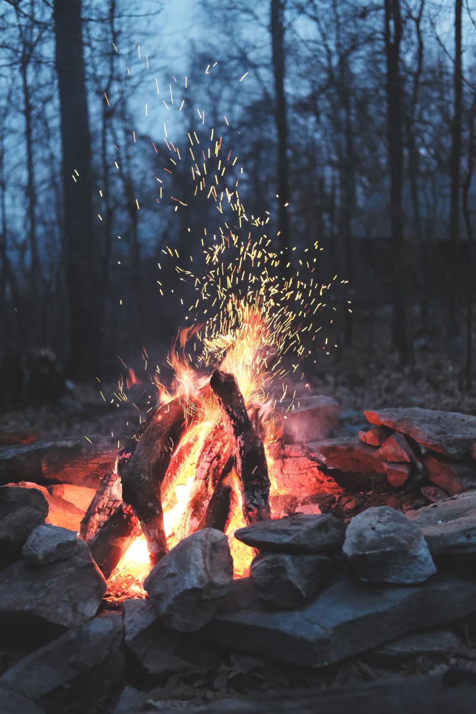 Free Image of Campfire Burning Brightly in Forest Clearing 